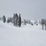 初！スノーウェーブパーク白鳥高原(岐阜県郡上市)へ☆コンパクトなゲレンデに新雪パウダーで最高やった